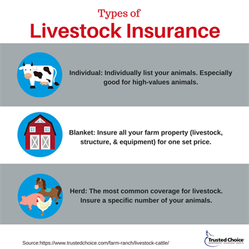 image-874330-livestock-insurance-d3d94.png